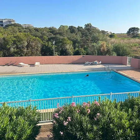 T1 Bis 150 M De La Agosta Avec Piscine Apartment Albitreccia